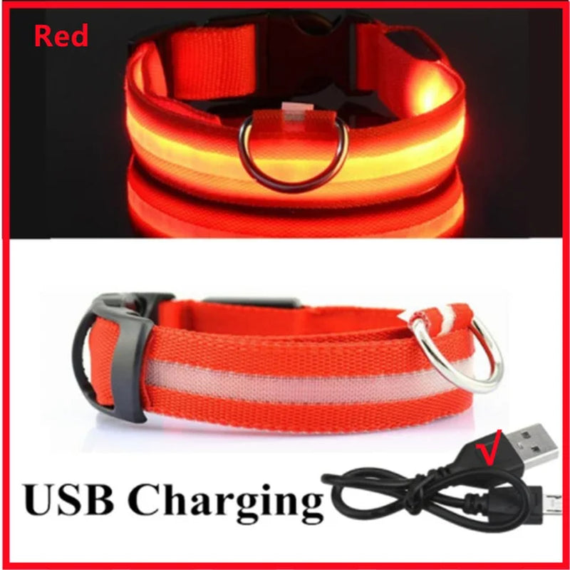 LED Glowing Dog Collar Adjustable Flashing Collar / Night Anti-Lost Dog Light Harness