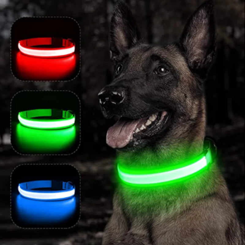 LED Glowing Dog Collar Adjustable Flashing Collar / Night Anti-Lost Dog Light Harness