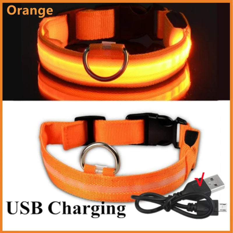 LED Glowing Dog Collar Adjustable Flashing Collar / Night Anti-Lost Dog Light Harness