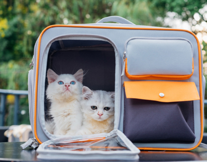 Multifunctional Durable Pet Transport Backpack for Dogs / Cats - Three Sides Breathable