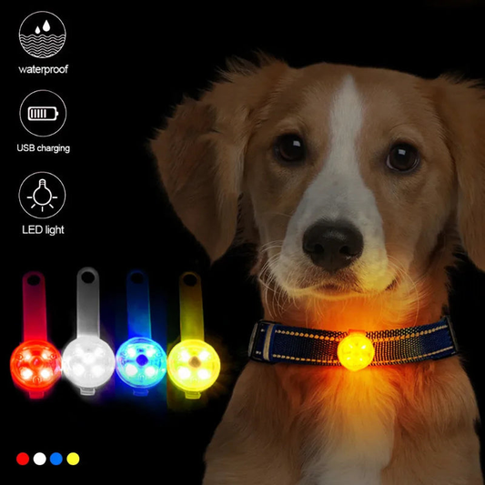 Dog Collar - Anti Loss LED Flashing Light Waterproof Rechargeable Pendant