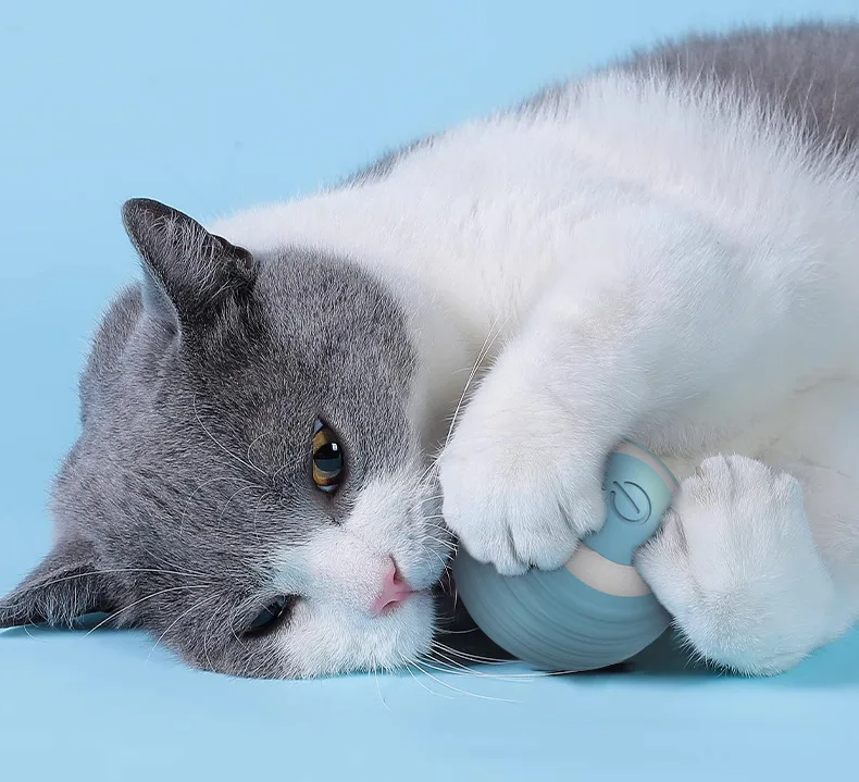 Cat Interactive Indoor Ball Automatic Rolling Smart Magic Ball