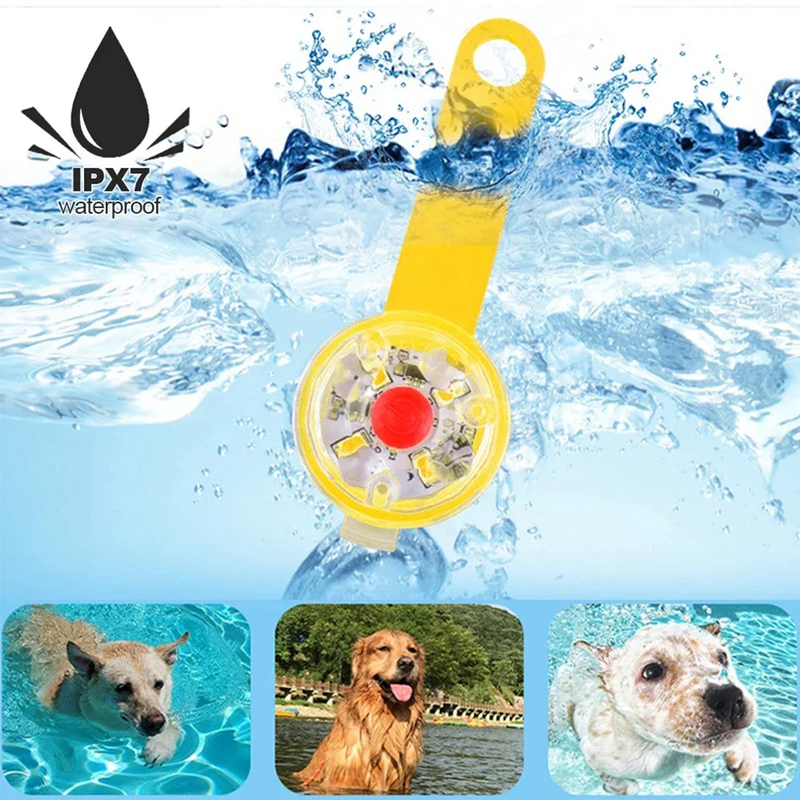 Dog Collar - Anti Loss LED Flashing Light Waterproof Rechargeable Pendant