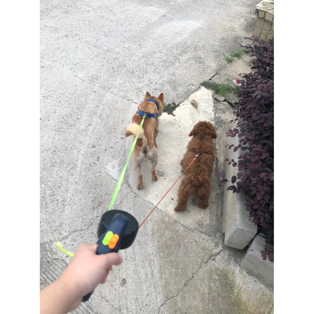 3M Retractable Dual Dog Leash with LED Light, 360 Swivel, No Tangle, Reflective Leads