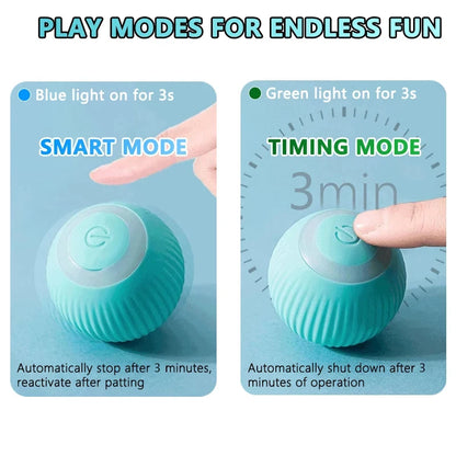 Cat Interactive Indoor Ball Automatic Rolling Smart Magic Ball