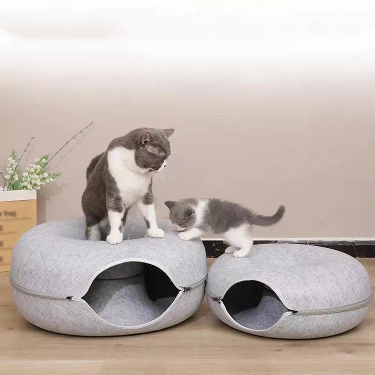 Donut Cat Bed for 2 Cats - Tunnel Kitten House Basket
