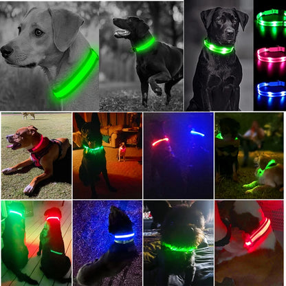 LED Glowing Dog Collar Adjustable Flashing Collar / Night Anti-Lost Dog Light Harness