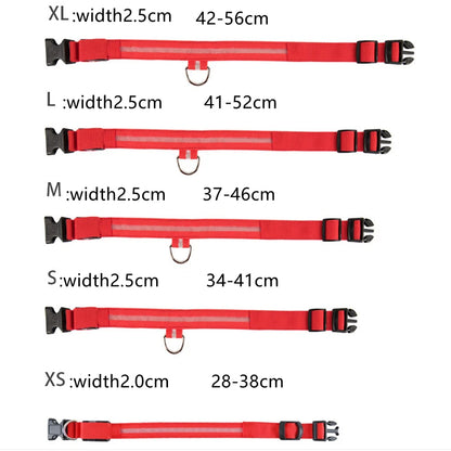 LED Glowing Dog Collar Adjustable Flashing Collar / Night Anti-Lost Dog Light Harness