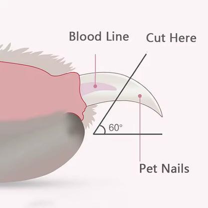 Professional Pet Nail Clippers with Led Light for Dogs / Cats