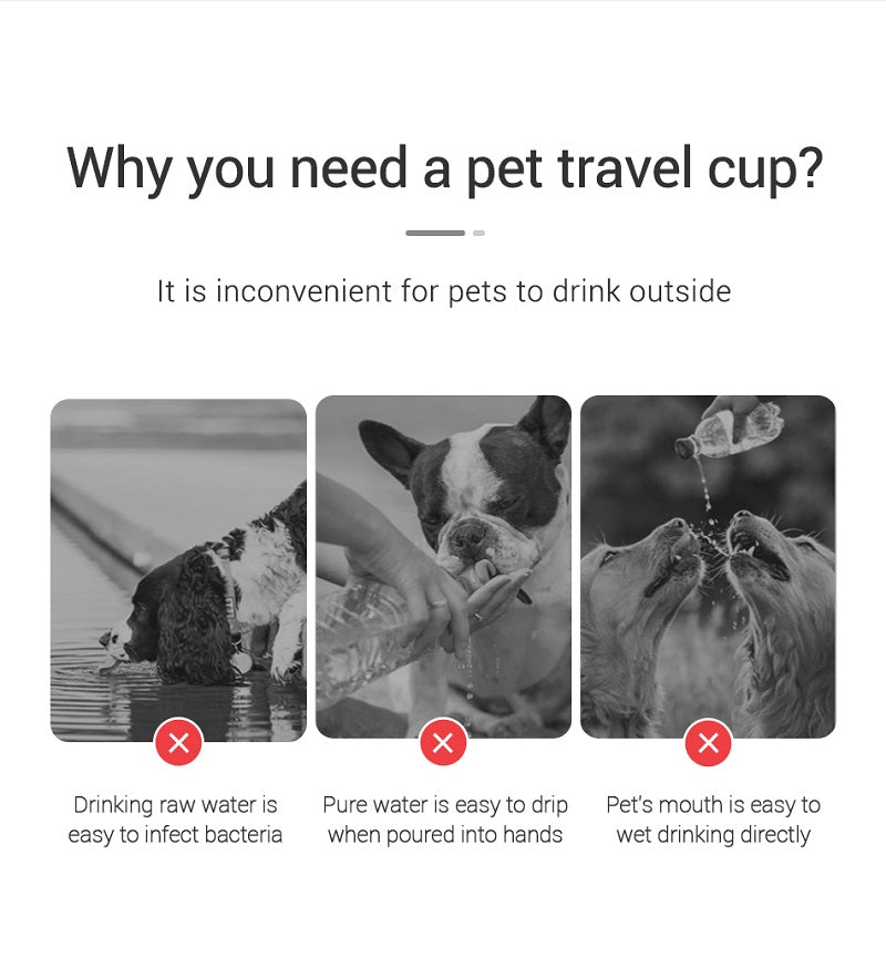 Portable Dog Water Bottle for Small Large Dogs Outdoor Leakproof Walking Drinking Bowls