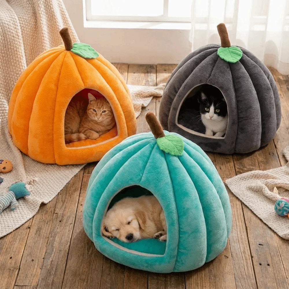 Pumpkin Cat Bed Halloween Cat House enclosed design with an entrance