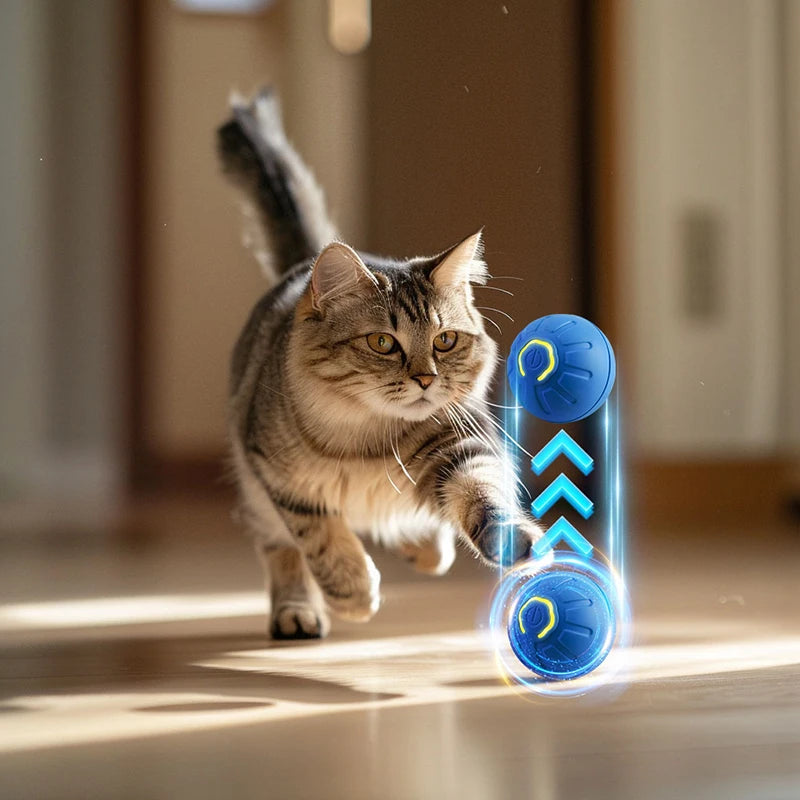 Cat Interactive Bouncing Ball Automatic Rolling Magic Ball