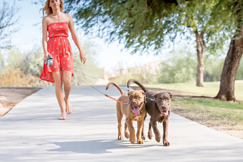 3M Retractable Dual Dog Leash with LED Light, 360 Swivel, No Tangle, Reflective Leads