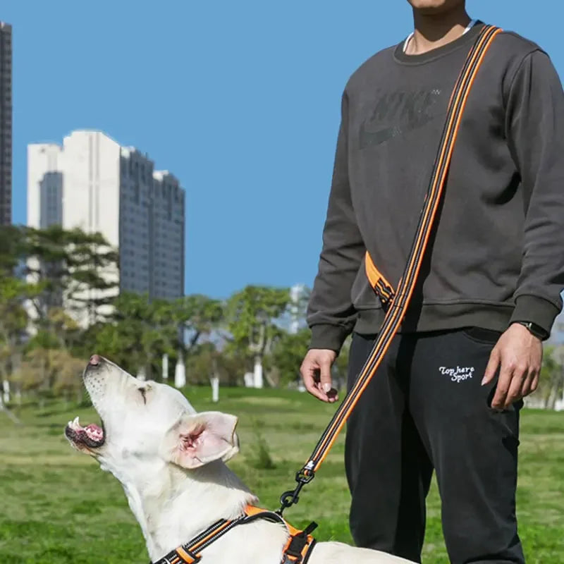 7 in 1 Multi-Function Adjustable Dog Reflective Lead, Walks 2 Dogs
