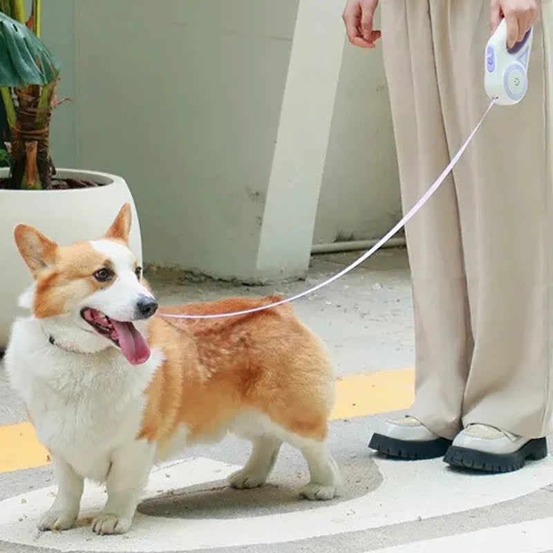 3M / 5M Automatic Retractable LED Dog Leash with Flashlight at Night