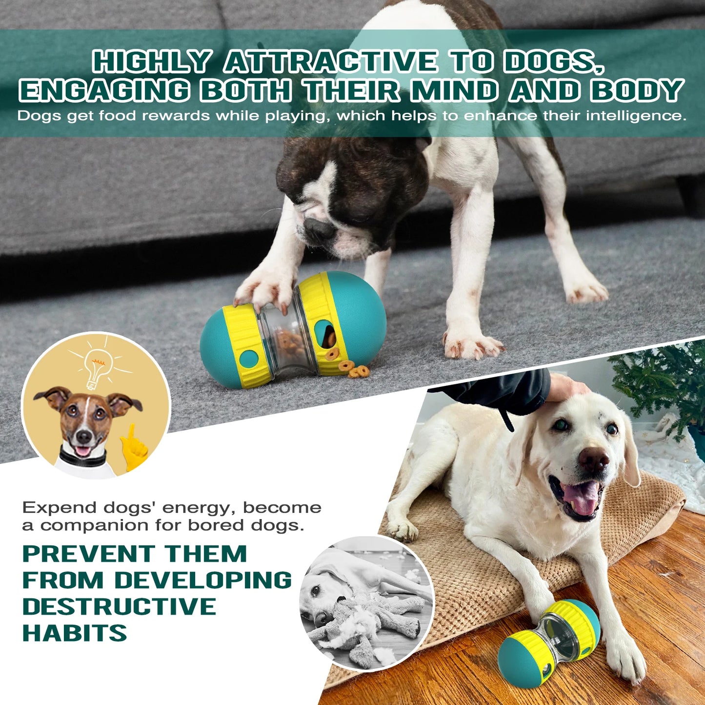 Dog Interactive Toy, Slow Feeder Ball - Improve IQ for Small, Medium Dogs & Cats
