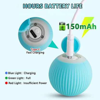 Cat Interactive Indoor Ball Automatic Rolling Smart Magic Ball