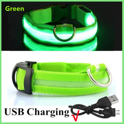 LED Glowing Dog Collar Adjustable Flashing Collar / Night Anti-Lost Dog Light Harness