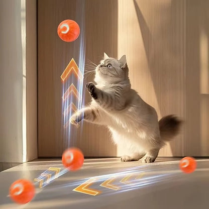 Cat Interactive Bouncing Ball Automatic Rolling Magic Ball